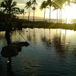 Dance Annapolis Ballroom Studio