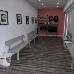 Dance Pointe Toronto