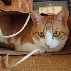 ダンススタジオ ステア