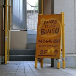 ＤＡＮＣＥＳＴＵＤＩＯ・ＢＩＮＧＯ