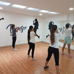 DanSer Studio