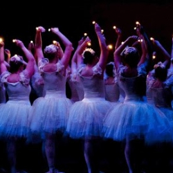 Discovery School of Dance