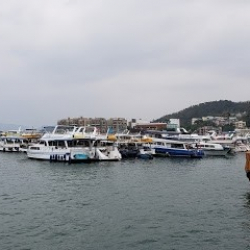 Echoes of Erin School of Irish dance