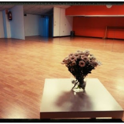 ESCUELA DE DANZA TRINIDAD ARTIGUEZ