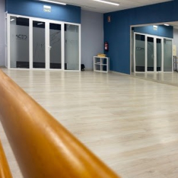 CEDAM - Centro Extremeño de Danza y Artes del Movimiento