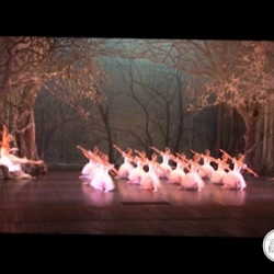 Ballet Etude Seasons