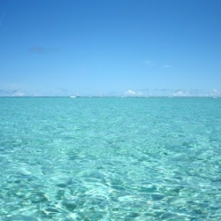 ハーラウ・フラ・オ・モアナ