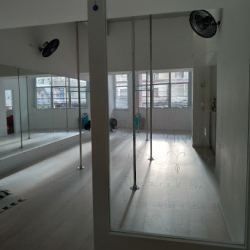 Studio de Pole Carol Alberton