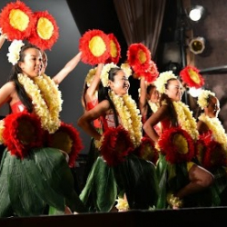 ハーラウレフアハアケア