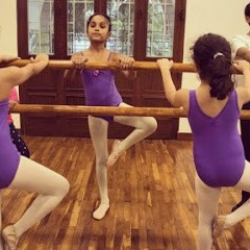 LES DANSEUSES ACADEMY OF BALLET