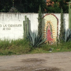 The Nautilus Chamber