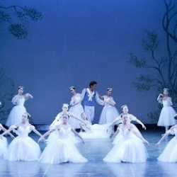 マサコバレエ茶山教室