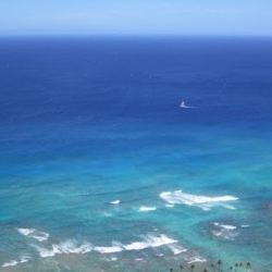 フラスタジオ ミノアカ