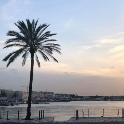 Associazione Sportiva Dilettantistica Passione Danza Molfetta