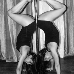 Peacock Pole Art & Body Weight Fitness LLC.