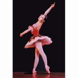 プティ・エトワールバレエ