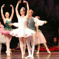 Academy of Ballet Arts