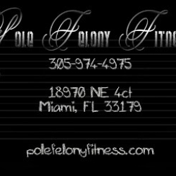 Pole Felony Fitness