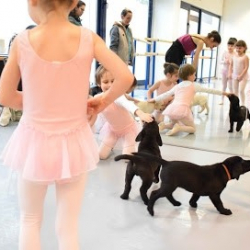 Ravenna Ballet Studio