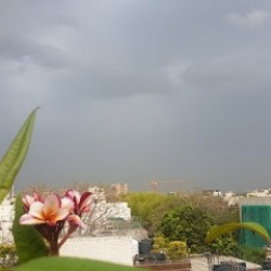 Sangeet Vidya Niketan - School of Indian Classical Dance & Music