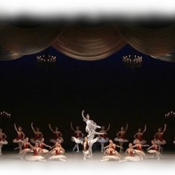 シマダバレエ学院 蘇我校