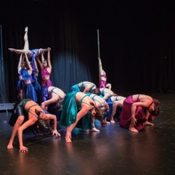 SLAP Dance Studio (Singapore Lap and Pole Dance Studio)