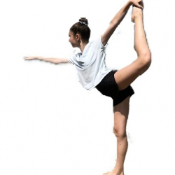 Studio North Academy of the Performing Arts, LLC