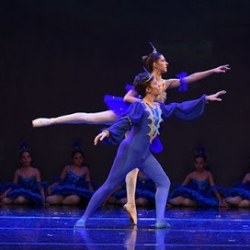 ΣΧΟΛΗ ΧΟΡΟΥ ΒΡΙΛΗΣΣΙΑ ΠΑΠΑΝΙΚΟΛΑΟΥ ΒΙΚΥ