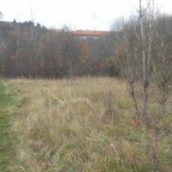 Dance Center Prague - Conservatoire