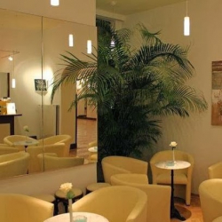 thomas TANZSCHULE kraml