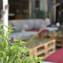 ADTV-Tanzschule Some Simple Steps