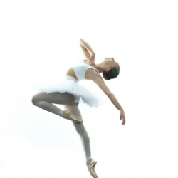 Terry Simpson Studios - Junior School