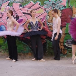 Terry Simpson Studios