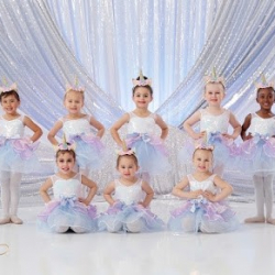 The Academy of Dance Arts Inc