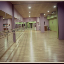 The Classical Ballet School