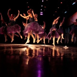 The Studio Fort Collins