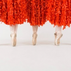 Treasure Valley Ballet Academy