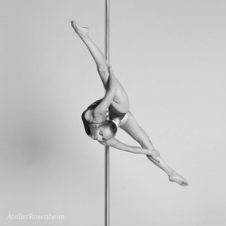 Poledance Rosenheim & Haag VERTICALS GYM
