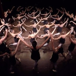 Σχολή Χορού Φιοράκη-Fioraki Dance School