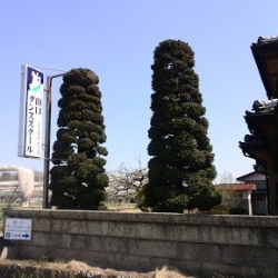 山口ダンススクール