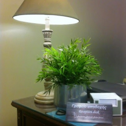 Dance - Ballet E. Bourtzis