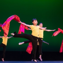 Yoyo School of Dancing