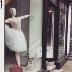 SonnenTanz GmbH - Ballettboutique, Yoga & Pilates