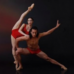 SOLO-Dancewear UG (haftungsbeschränkt)