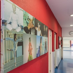 La Zapatilla Roja Fola