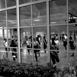 Aid, Académie Internationale De La Danse