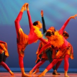 The Academy of Dance Arts