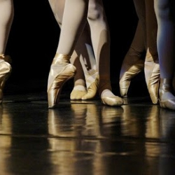 Airborne Dance Center