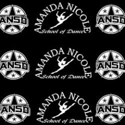 Amanda Nicole School of Dance
