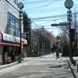 Amiバレエアート